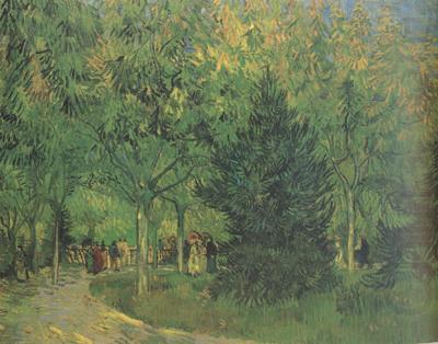 Vincent Van Gogh A Lane in the Public Garden at Arles (nn04) china oil painting image